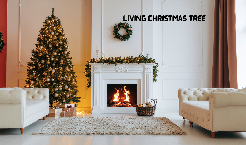Living Christmas tree